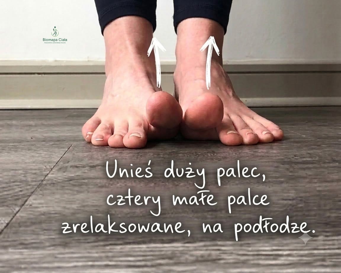 Może być zdjęciem przedstawiającym tekst „Biomapa BiomspaCiala Ciala Unieś duży palec, catery mate palce zrelaksowane, na podFodze.” Może być zdjęciem przedstawiającym tekst „Biomapa BiomspaCiala Ciala Unieś duży palec, catery mate palce zrelaksowane, na podFodze.”