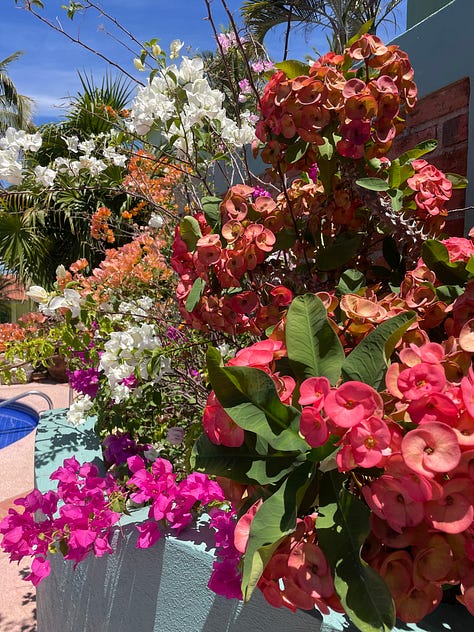 San Pancho accommodation