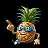 Pineapple Chronicles 