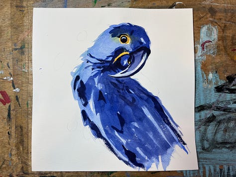watercolour exercises paintings of a dog asleep on a chair, a blue parrot and a painting of a dog in a pub by Jo Scott
