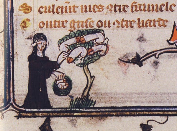 Jeanne de Montbaston – Penis Trees Against the Misogynists? | Jeanne de  Montbaston