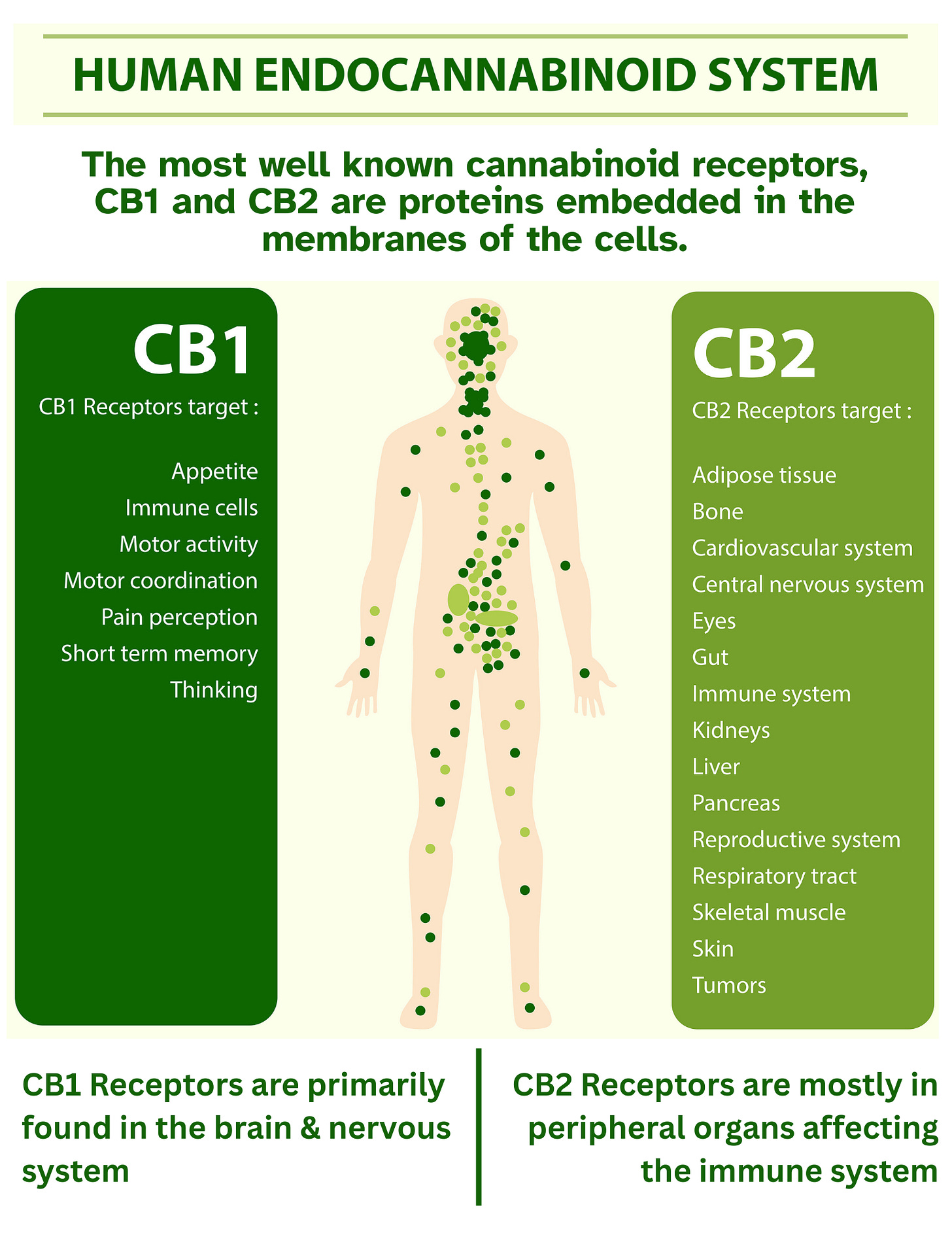 NorCalWeedGal explains the dNorCalWeedGal shares a WarNorCalWeedGal shares an infographic showing the human endocannabinoid system receptors. It's Weeducation Week in this week's edition of Inside The Emerald Triangle