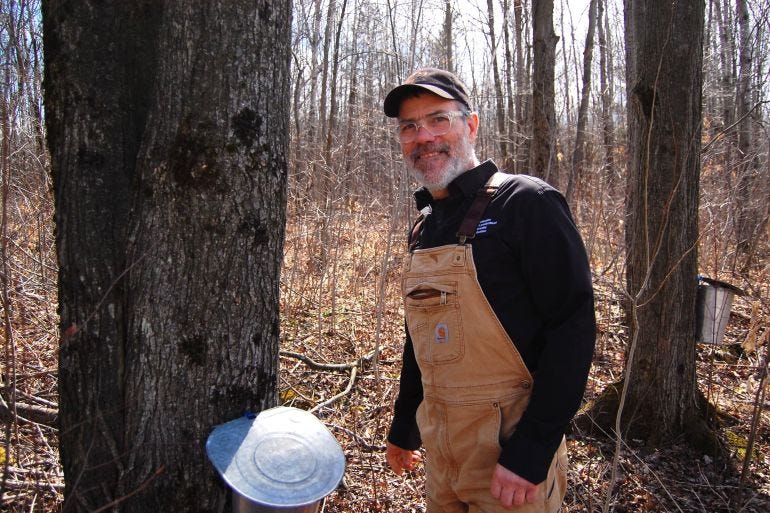 Quebec maple syrup producer Jean-Francois Touchette stands next to a maple tree Quebec maple syrup producer Jean-Francois Touchette stands next to a maple tree