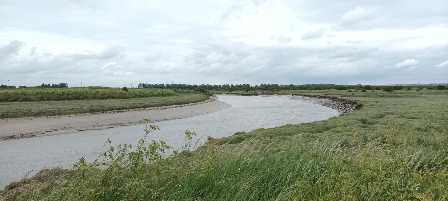 The river stour winding through meadows, grey sky overhead