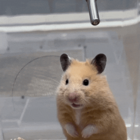 디올(Dior)백 원가 8만원의 진실 디올(Dior)백 원가 8만원의 진실