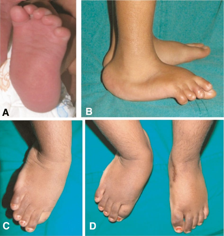 jposna20220038_fig9.jpg