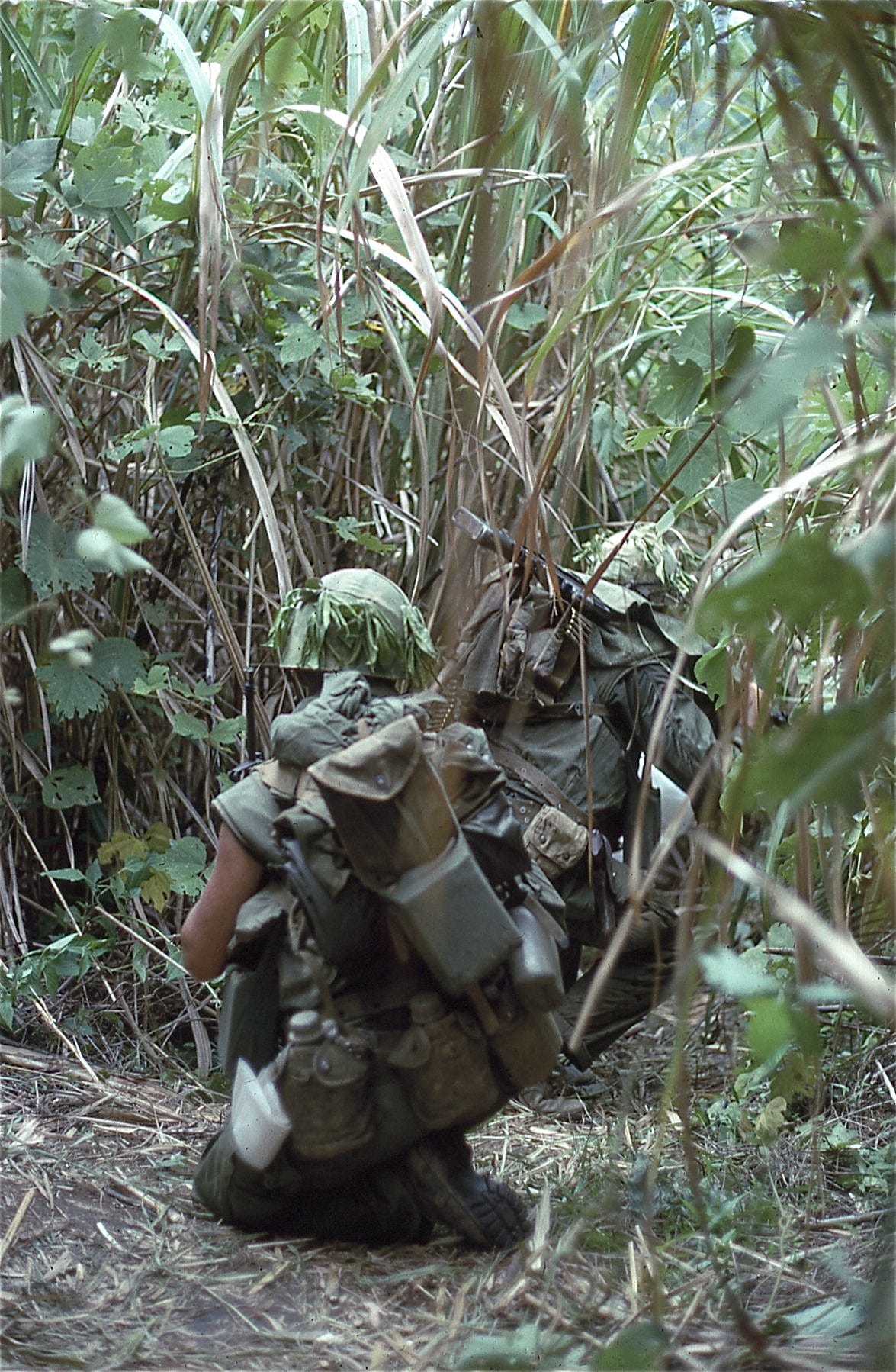 Marines moving through dense jungle vegetation in Vietnam.