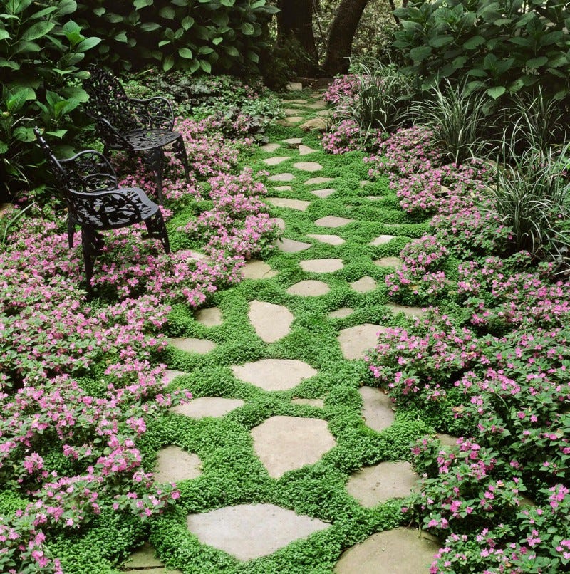 5 Best Ground Covers and How They Can Help with Landscaping - Williamson  Source