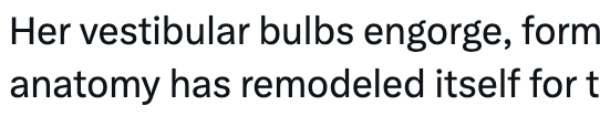 "Her vestibular bulbs engorge," a bit bigger