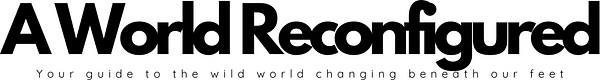 A World Reconfigured