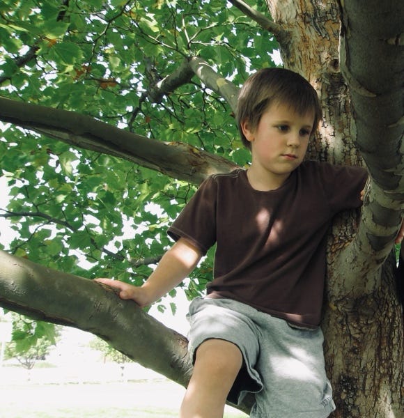 What if&hellip;It Is Not So Among You