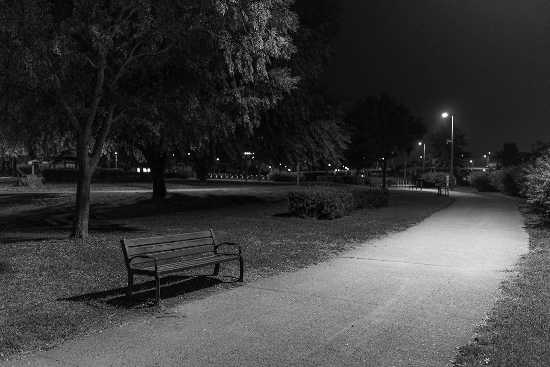 a park bench sitting on the side of a path a park bench sitting on the side of a path