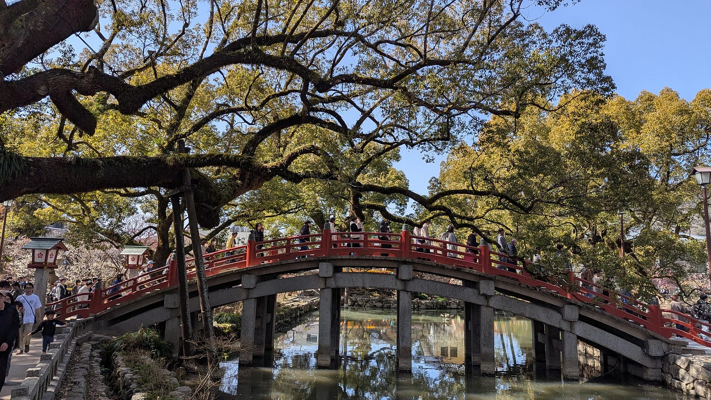 A long, large tree branch is almost as long as the bridge nearby, where people are lined up to enter the shrine.