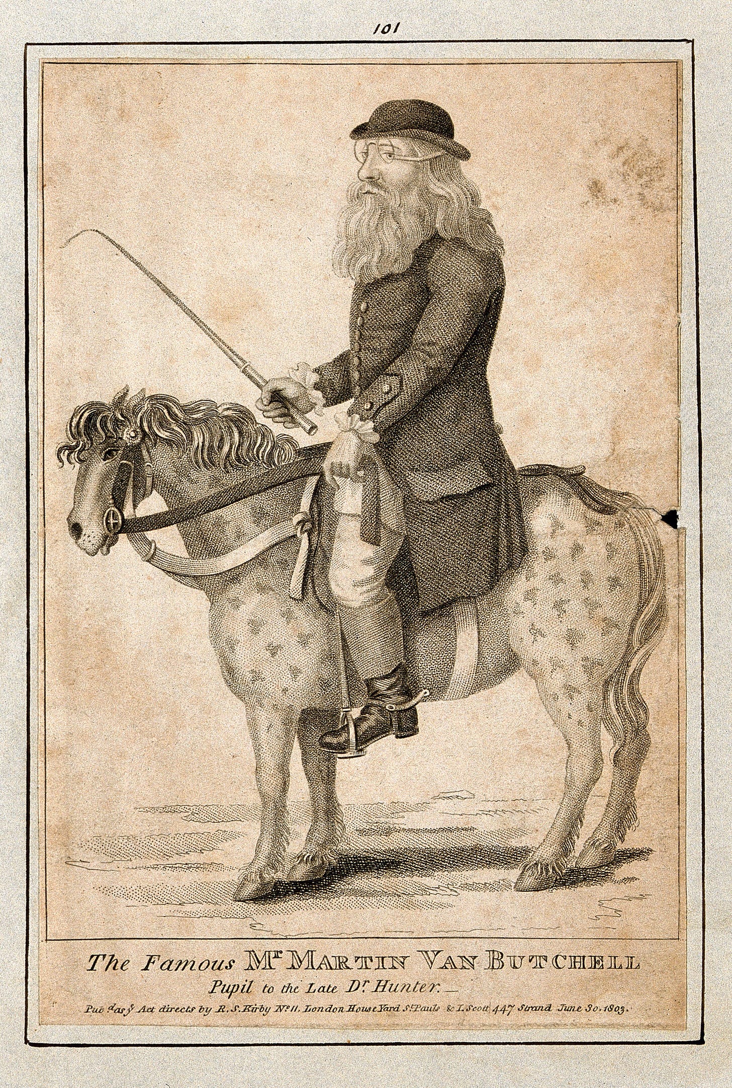 Old etching of “The Famous Mr Martin van Butchell, pupil to the late Dr Hunter” – a man with an extravagant beard riding a pony which looks too small, and has unusual markings, because they look too regular to be natural. The man wears a bowler hat and glasses, and carries a riding crop