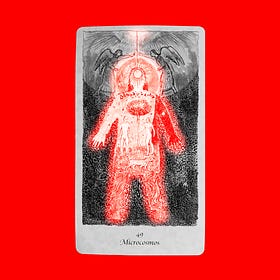 Cultivating the Garden of the Self