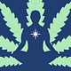Smart Cannabis Use