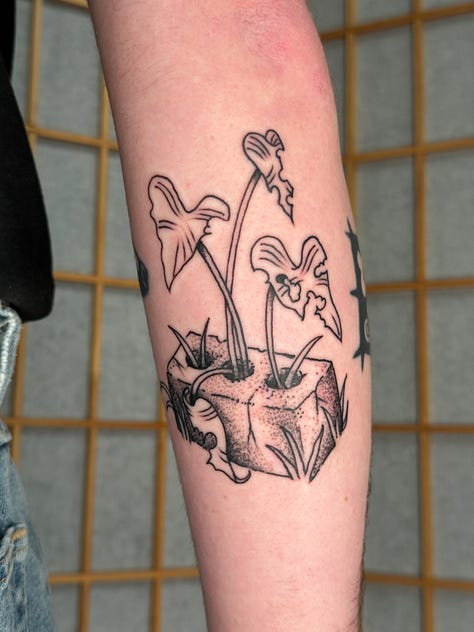 9 photos of tattoos i did this month. from top left to bottom right: a stuffed animal from item label called a peepy, a spiky chain link, a dog dragon, a starry sacred heart, a little guy holding a leaf, another chainlink with a dark black spiky background, another chain link, a brick with leaves growing out of it, and a spiral star on someones elbow (ouch!)