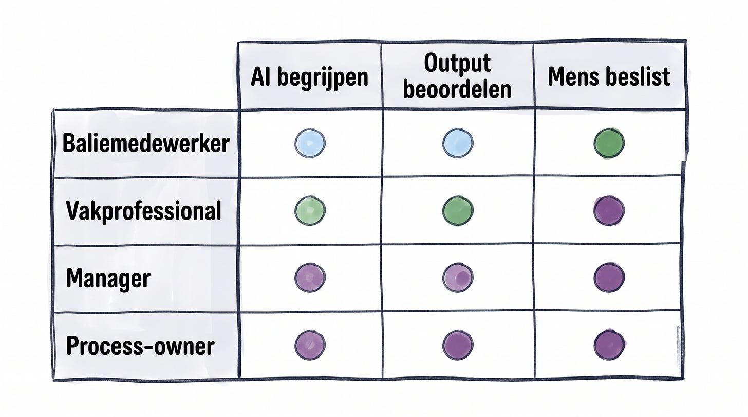 De AI Literacy Matrix: rol per bouwsteen per niveau De AI Literacy Matrix: rol per bouwsteen per niveau