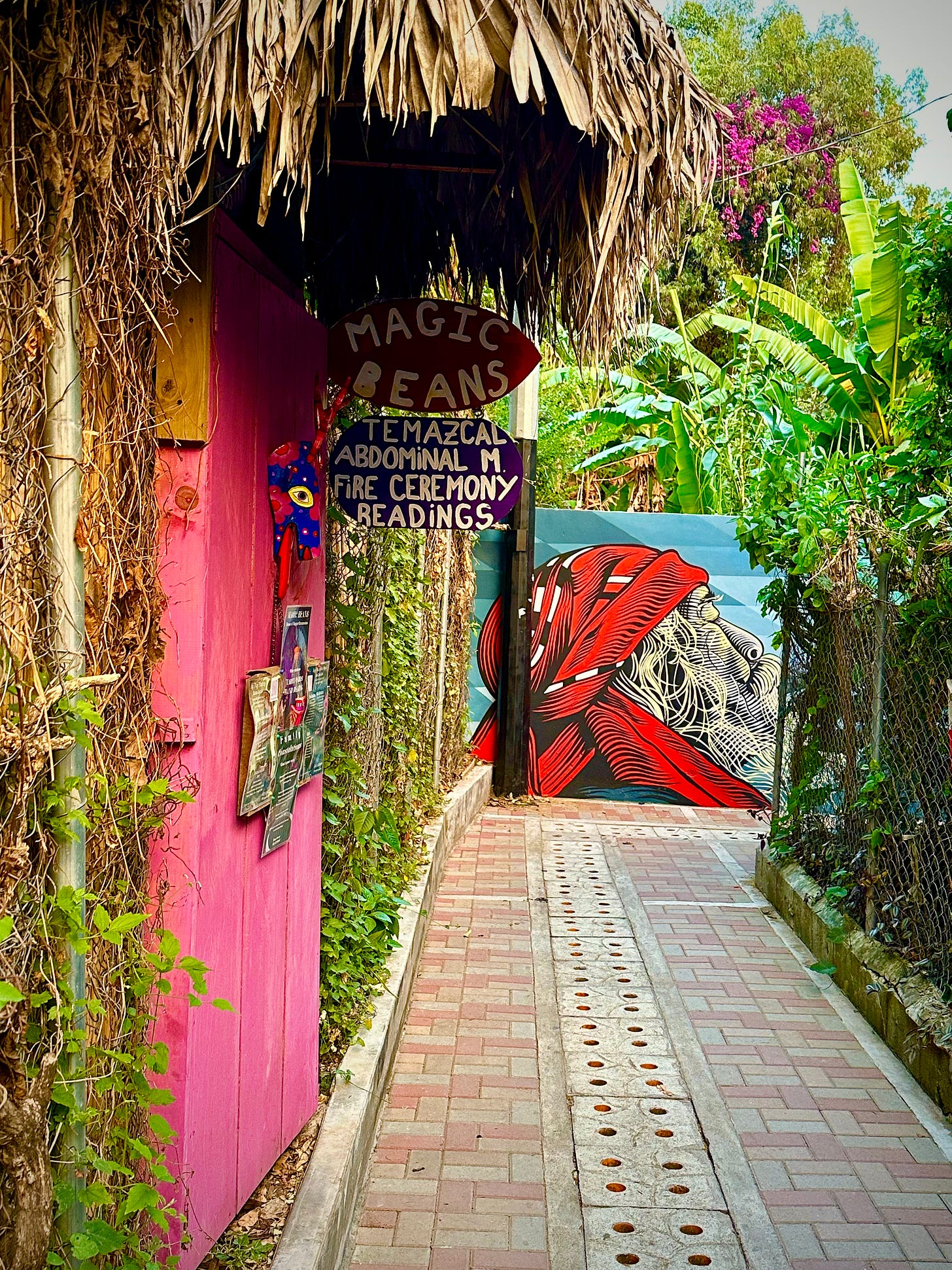 A vibrant walking street with color signs and murals.