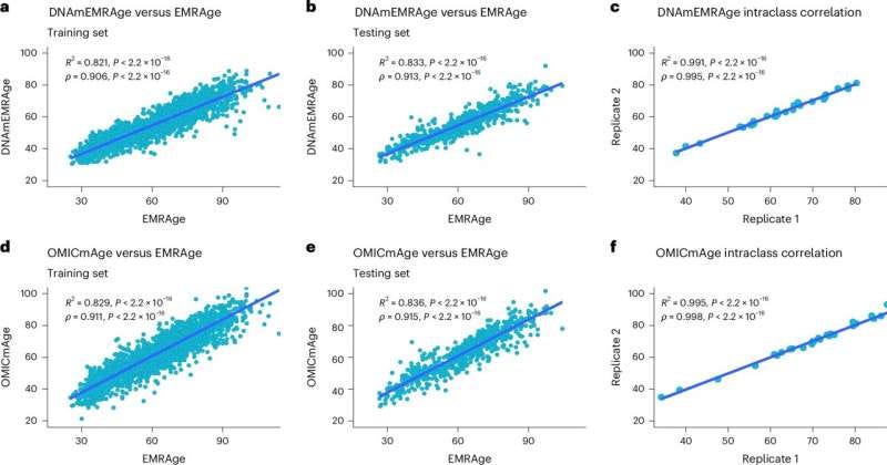 Researchers contribute to major advance in biological ageing science
