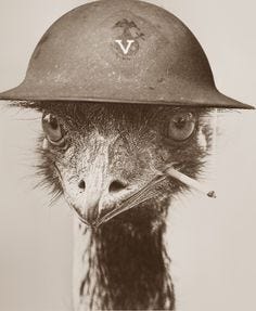 The Great Emu War...