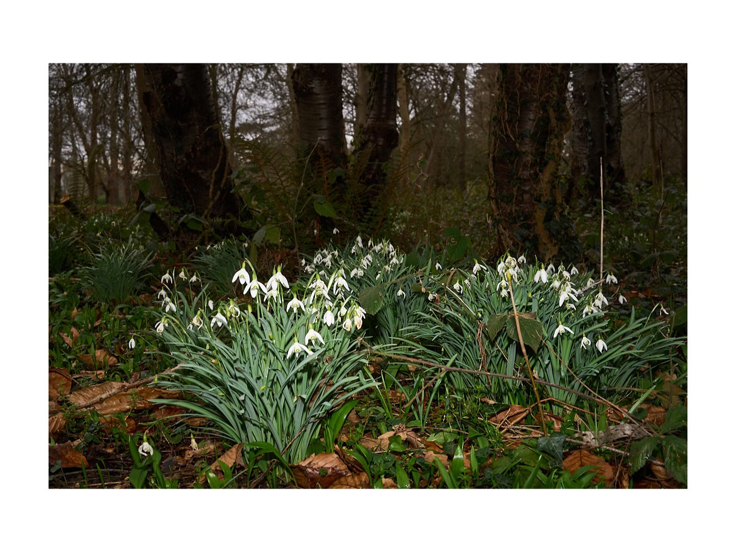 © 2026 STUDIO du Preez