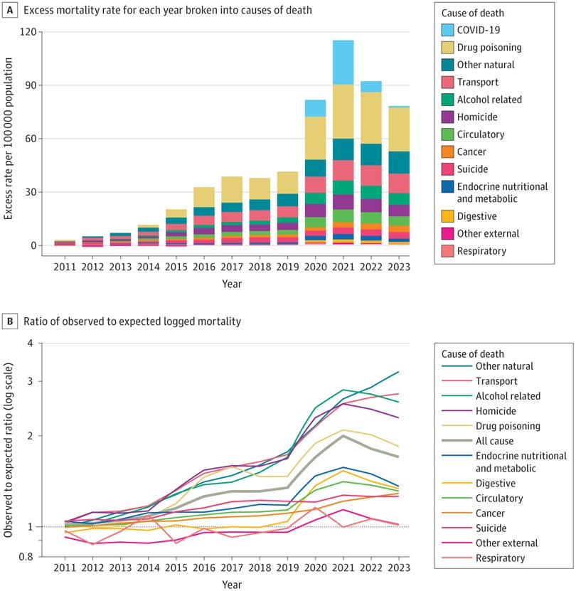 Excess Mortality Rates by Cause Among Adults Aged 25-44 Years, 2011-2023