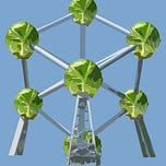 A Diet of Brussels: EU-UK relations post-Brexit