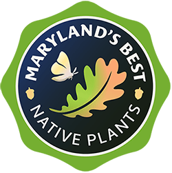 MD Department of Ag Best Native Plants Program Logo MD Department of Ag Best Native Plants Program Logo