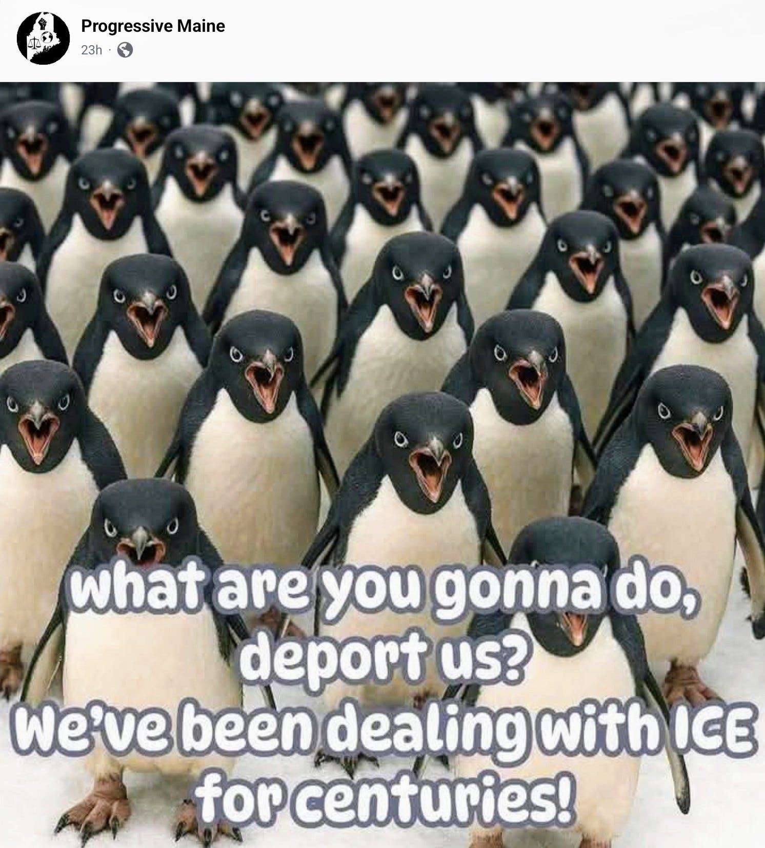 A Bit Of Unbridled Joy In Dark Times