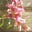 parvathi deepak's avatar