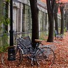 Corporate Life and the Life of the Mind