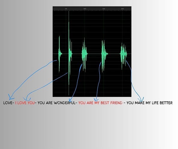 Screenshot of Adobe Audition screen with the waveforms of the recorded words: LOVE,I LOVE YOU, YOU ARE WONDERFUL,YOU ARE MY BEST FRIEND,YOU MAKE MY LIFE BETTER.