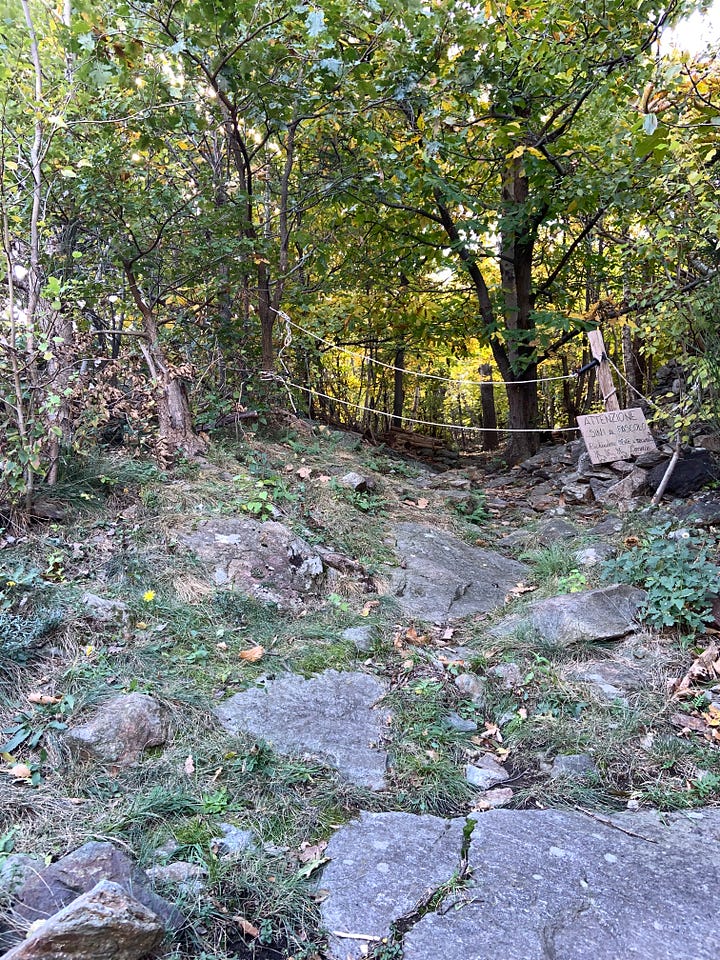 Autumn Walks In The Forests And In The Mountains: The Perfect Escape From City Life