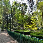 Urban Jungles Make Great Cities—Here’s How