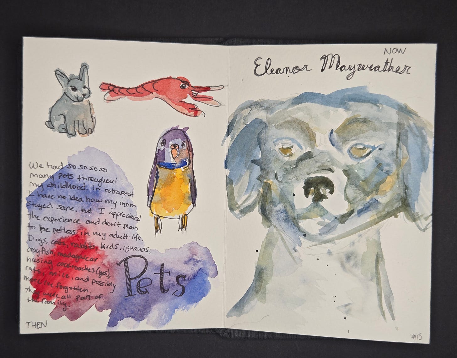 Watercolor sketchbook spread of pets, including rabbit, shrimp, bird, and dog portrait labeled “Eleanor Mayweather,” showing childhood pets and present life.