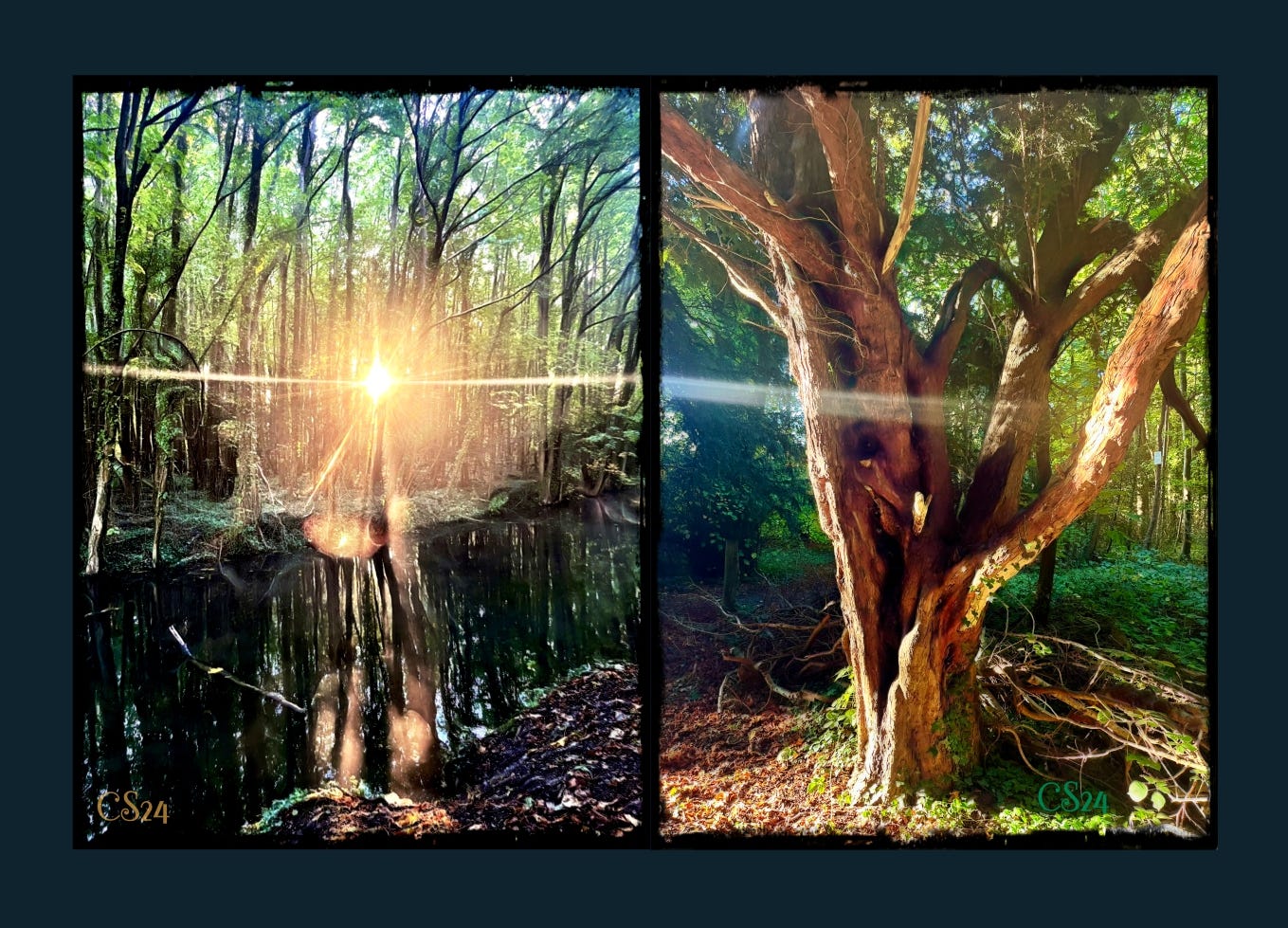 Photo Art - by String