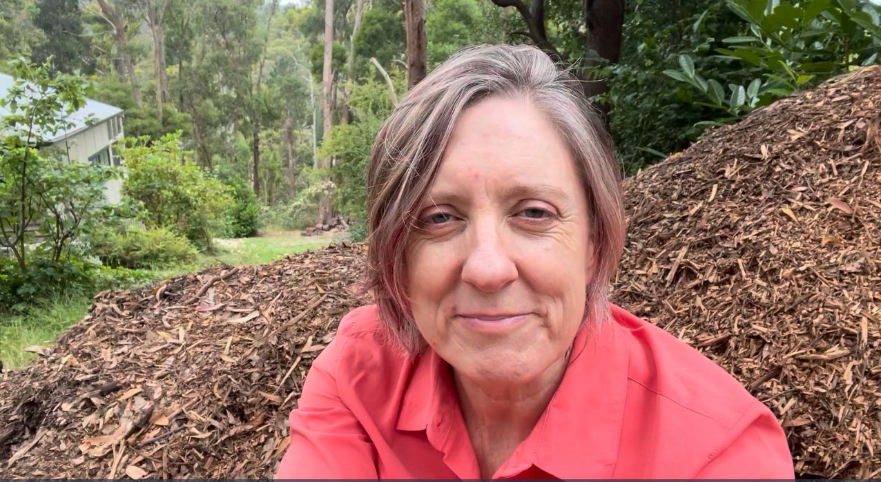 Jax, a middle aged woman in a salmon pink shirt,a little worse for wear, sitting on the chips of the fallen trees in her yard -  it was time to go.