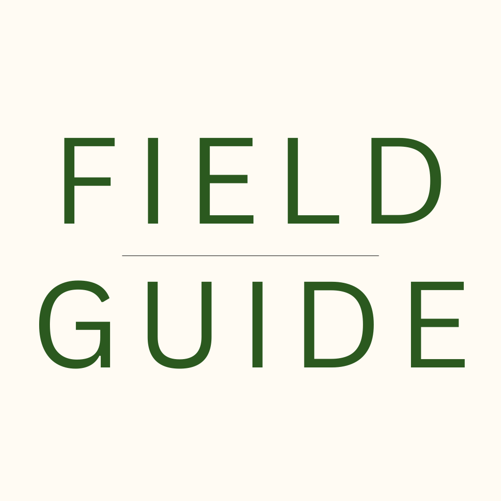 Field Guide