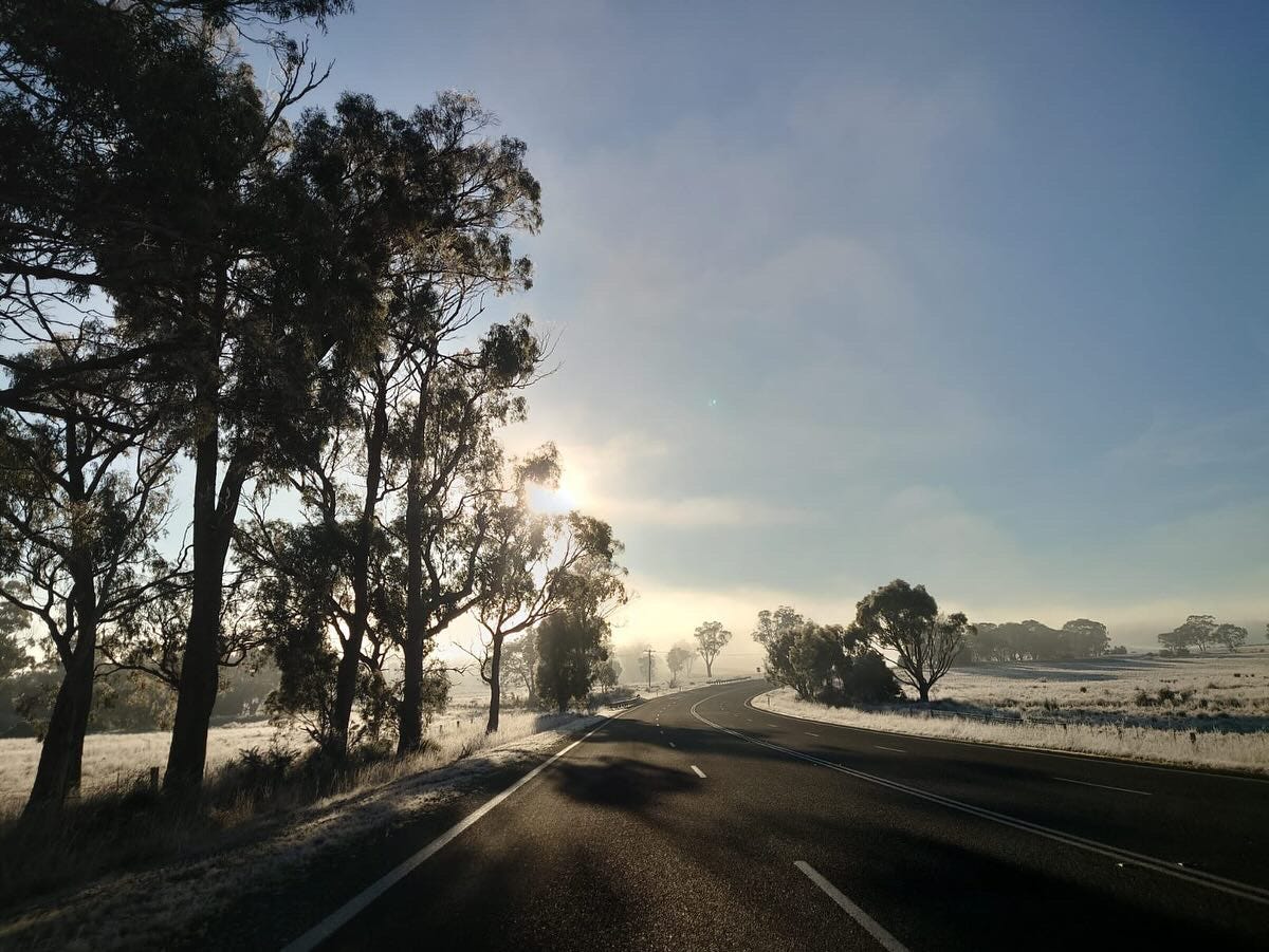 A cold early morning, a road curving up ahead, tall trees on the left covering the sun, and the field on the right is covered with a thin layer of snow. A peaceful picture.