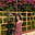 Kavya's avatar