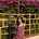 Kavya's avatar