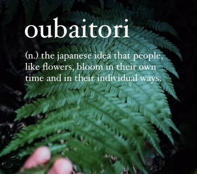 043: A Year Ends, New Possibility is Born