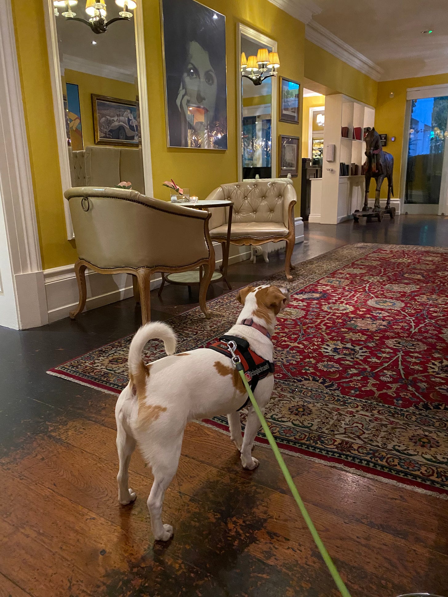 Clara in the Gallery at the Lodge at Ashford Castle