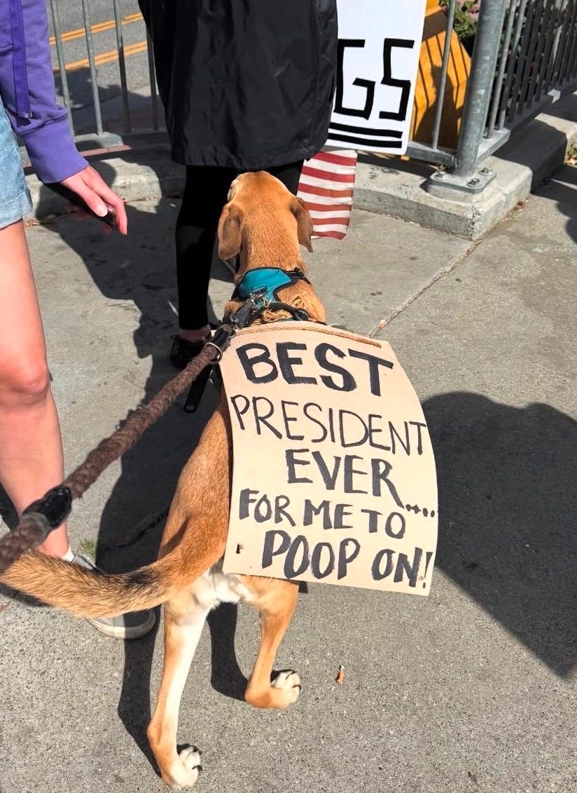 ~70 No Kings Sign Ideas - The 50501 Movement