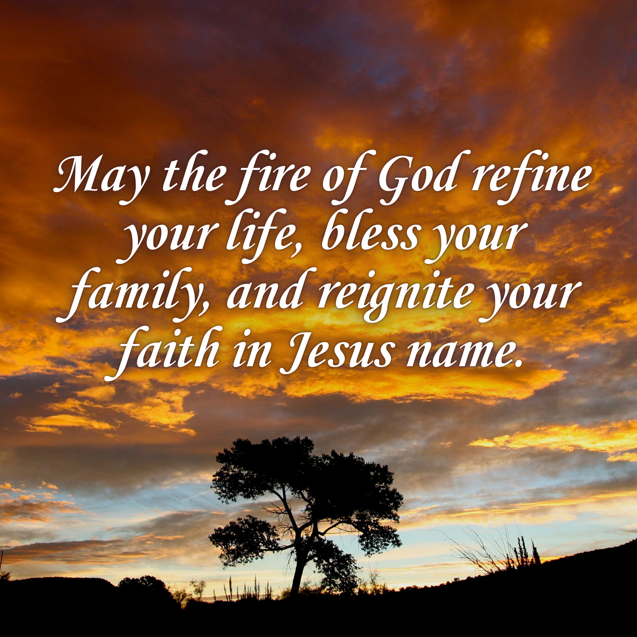 Prayer: The Fire of God 455 - Daily Devotional For Women