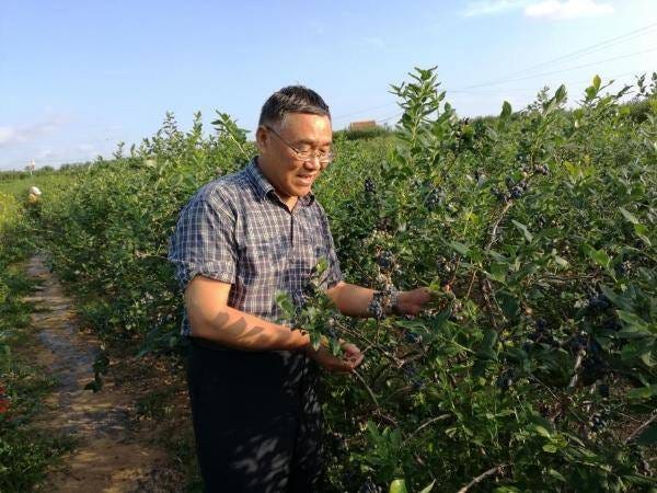 10名专家荣获山东省第十五届社会科学突出贡献奖 10名专家荣获山东省第十五届社会科学突出贡献奖