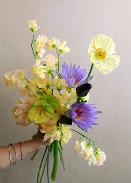 This may contain: a person holding a bouquet of flowers in their hand, with the flower stems still attached to it