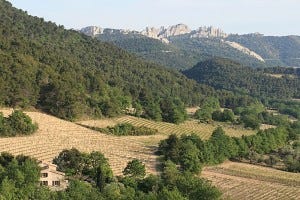 The beautiful, lacy peaks of the  Dentelles de Montmirail mark the Côtes-du-Rhône,
