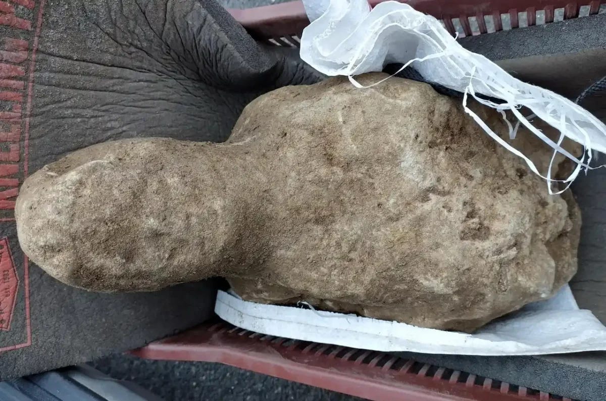 The newly discovered statue at the archaeological site. The newly discovered statue at the archaeological site.